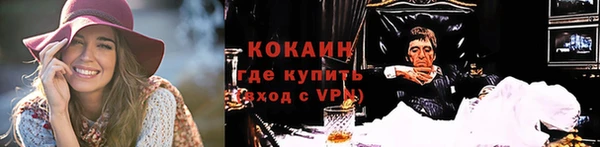 дмт Осинники